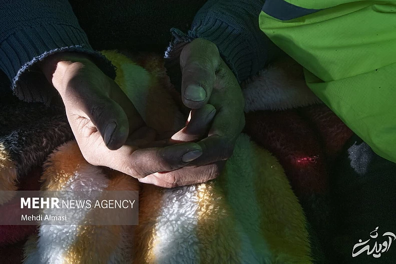 (تصاویر) عملیات نجات چوپانان از دل کوه‌های برفی زنجان